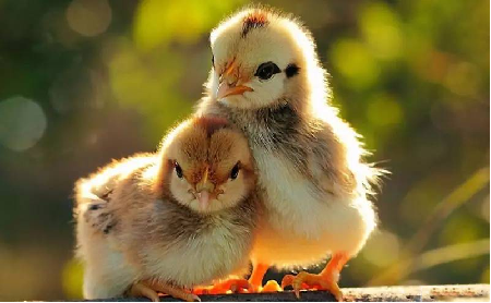 ÌÚ²©»áÓÎÏ·¹ÙÍø¡¤(Öйú)רҵ·þÎñ,³ÏÐÅΪ±¾