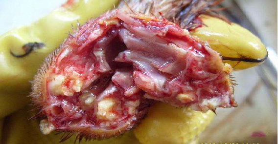 ÌÚ²©»áÓÎÏ·¹ÙÍø¡¤(Öйú)רҵ·þÎñ,³ÏÐÅΪ±¾