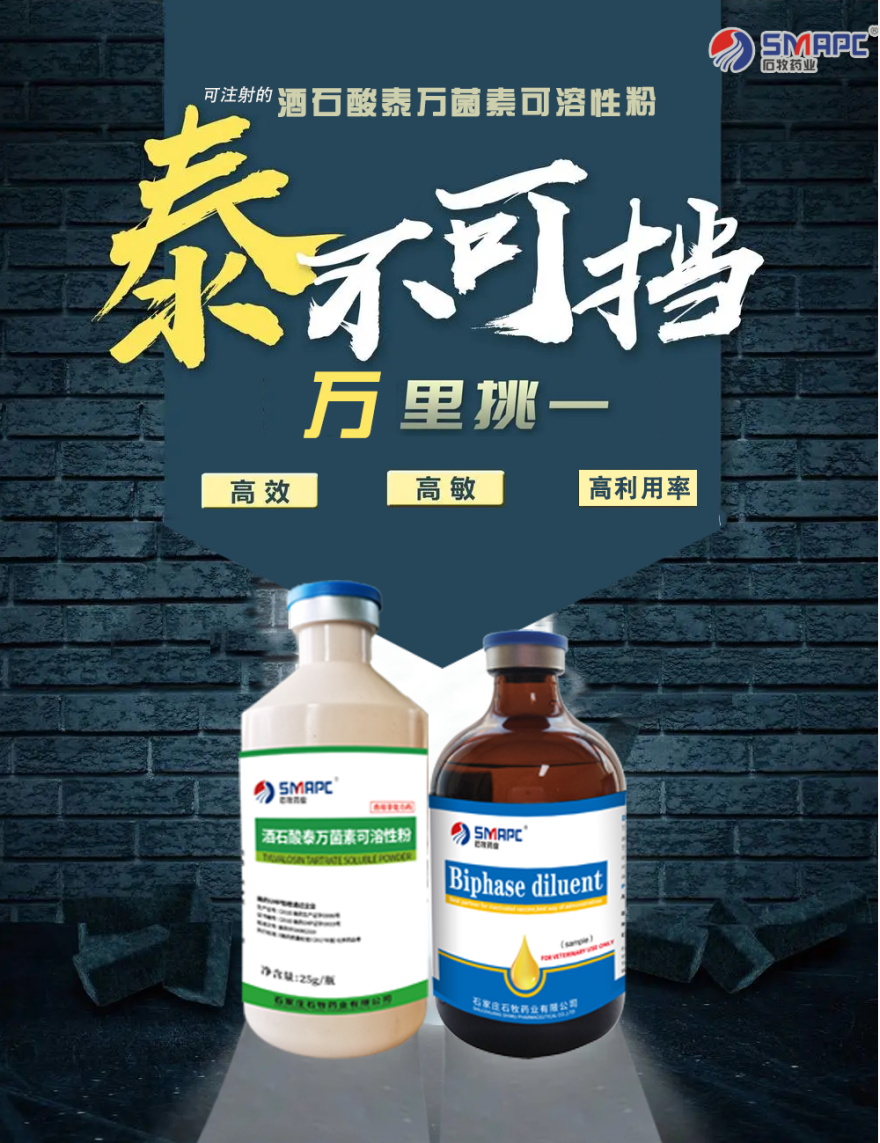 �ڲ�����Ϸ������(�й�)רҵ����,����Ϊ��