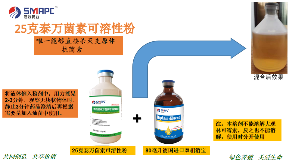 �ڲ�����Ϸ������(�й�)רҵ����,����Ϊ��