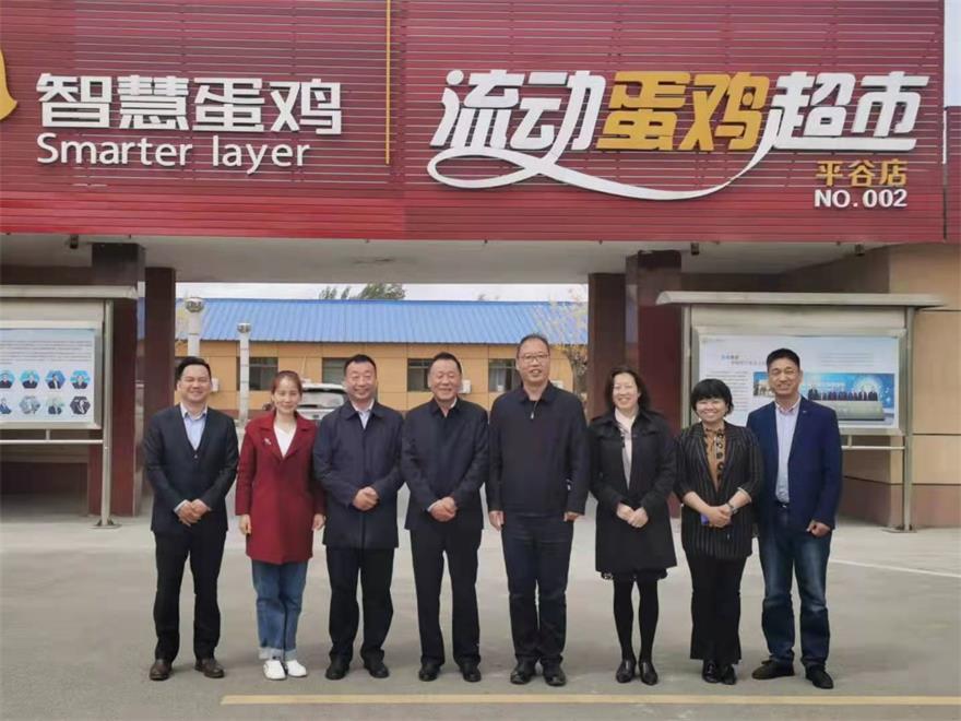 �ڲ�����Ϸ������(�й�)רҵ����,����Ϊ��