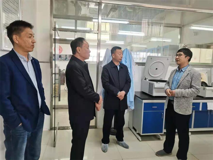 �ڲ�����Ϸ������(�й�)רҵ����,����Ϊ��