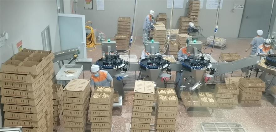 �ڲ�����Ϸ������(�й�)רҵ����,����Ϊ��