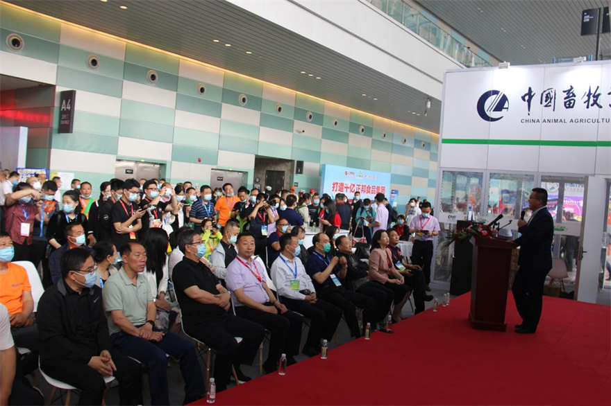 �ڲ�����Ϸ������(�й�)רҵ����,����Ϊ��