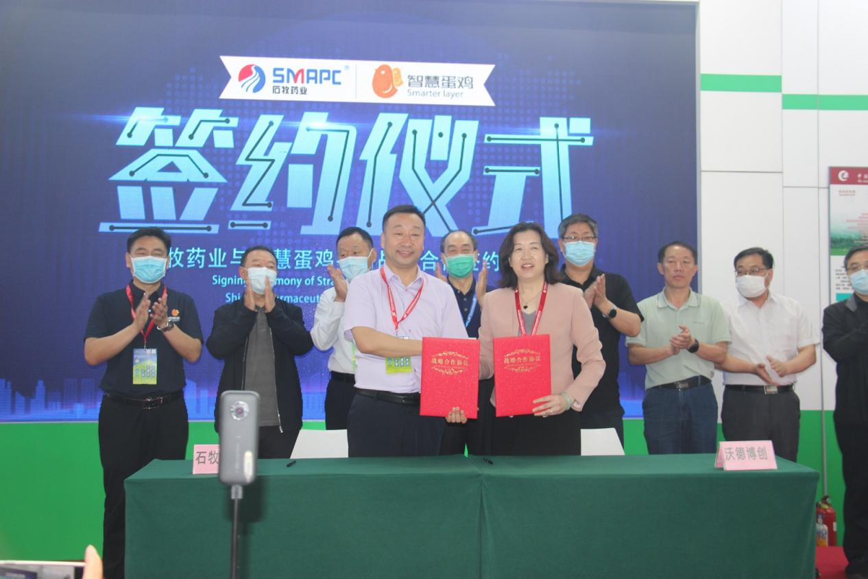 �ڲ�����Ϸ������(�й�)רҵ����,����Ϊ��