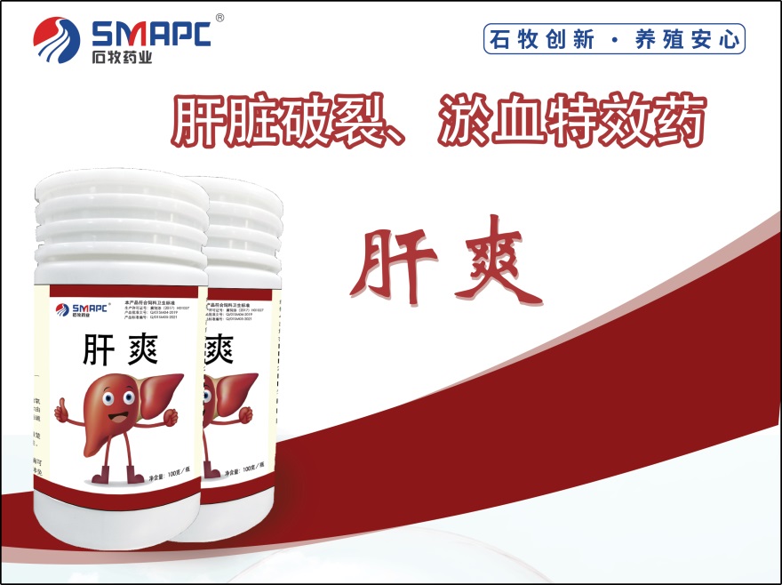 �ڲ�����Ϸ������(�й�)רҵ����,����Ϊ��