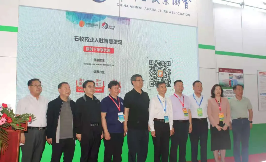 �ڲ�����Ϸ������(�й�)רҵ����,����Ϊ��