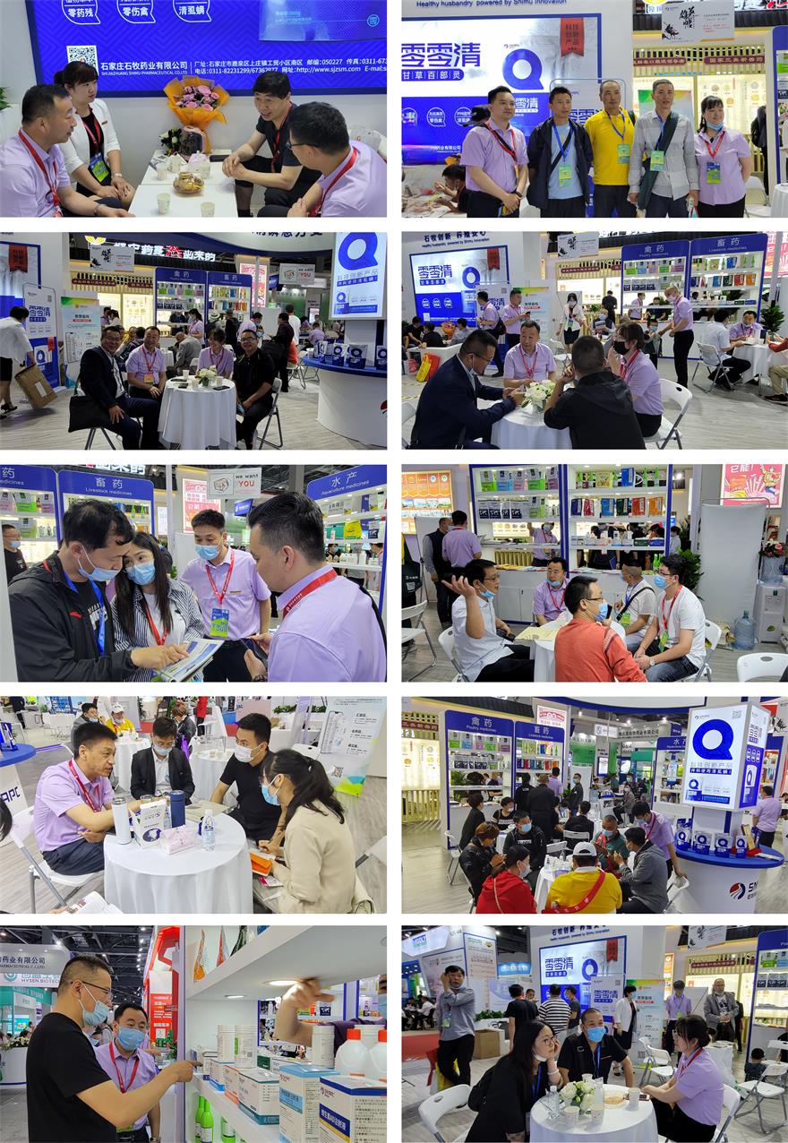 �ڲ�����Ϸ������(�й�)רҵ����,����Ϊ��