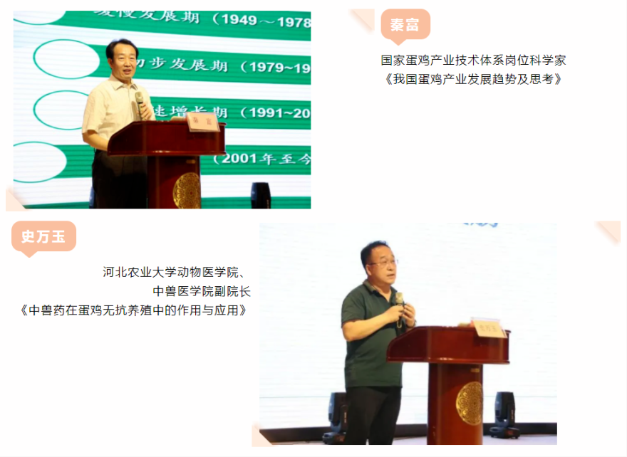 �ڲ�����Ϸ������(�й�)רҵ����,����Ϊ��