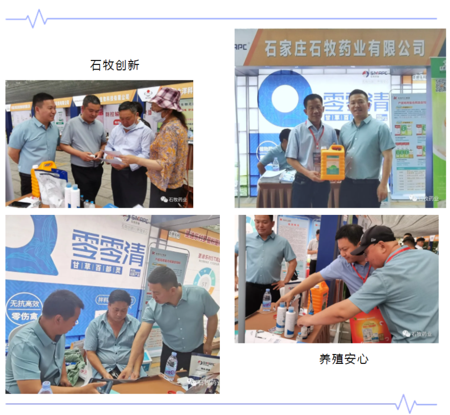 �ڲ�����Ϸ������(�й�)רҵ����,����Ϊ��