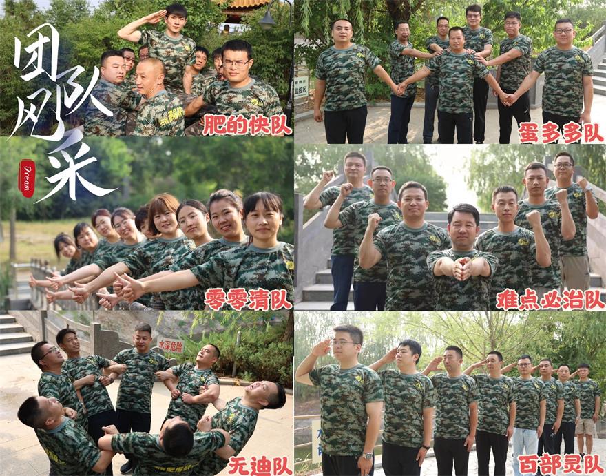 �ڲ�����Ϸ������(�й�)רҵ����,����Ϊ��