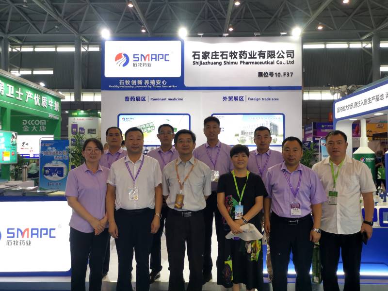 �ڲ�����Ϸ������(�й�)רҵ����,����Ϊ��