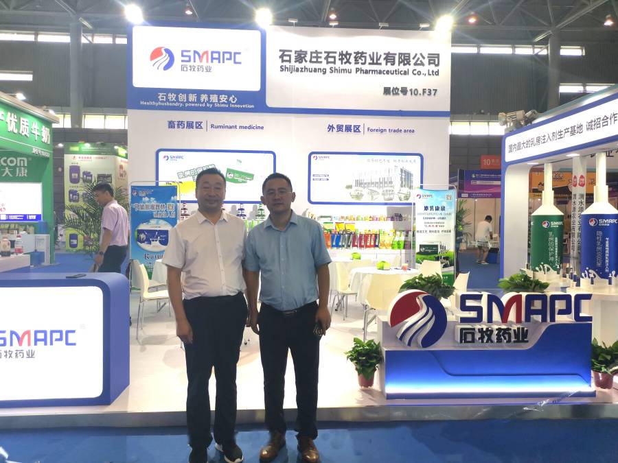 �ڲ�����Ϸ������(�й�)רҵ����,����Ϊ��