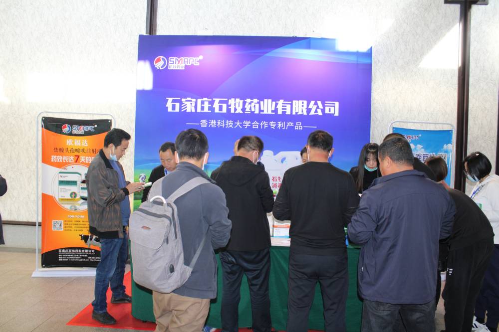 �ڲ�����Ϸ������(�й�)רҵ����,����Ϊ��