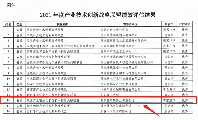 �ڲ�����Ϸ������(�й�)רҵ����,����Ϊ��