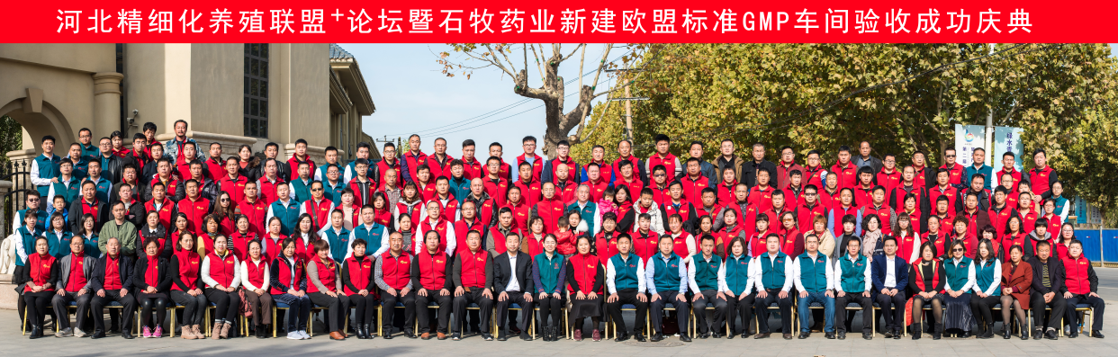 �ڲ�����Ϸ������(�й�)רҵ����,����Ϊ��