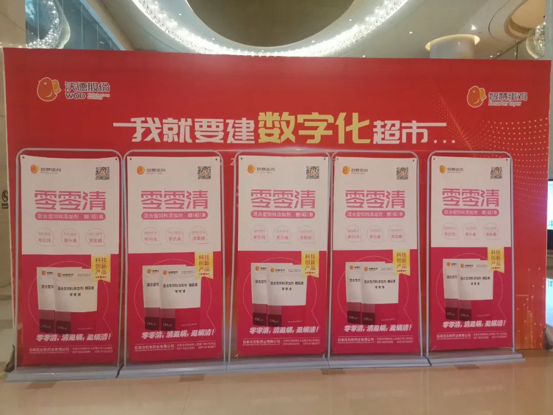 �ڲ�����Ϸ������(�й�)רҵ����,����Ϊ��