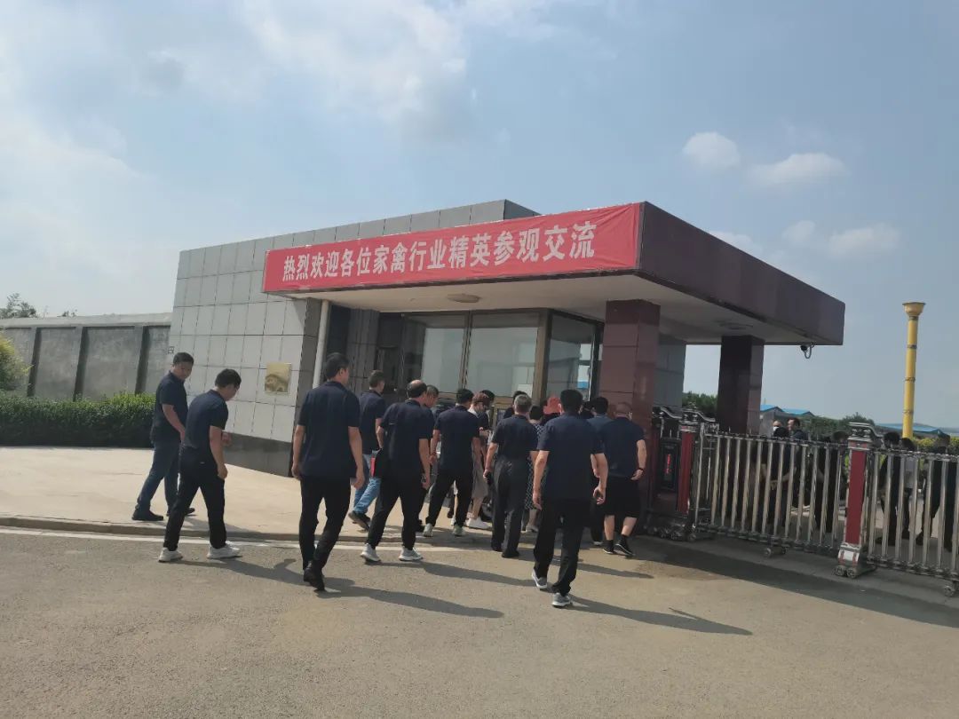 �ڲ�����Ϸ������(�й�)רҵ����,����Ϊ��