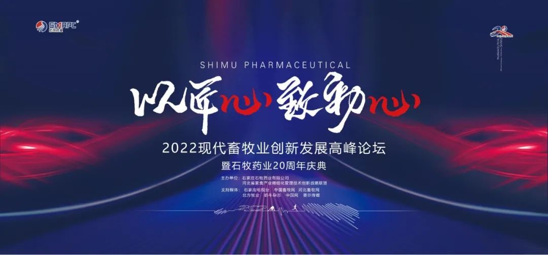 �ڲ�����Ϸ������(�й�)רҵ����,����Ϊ��