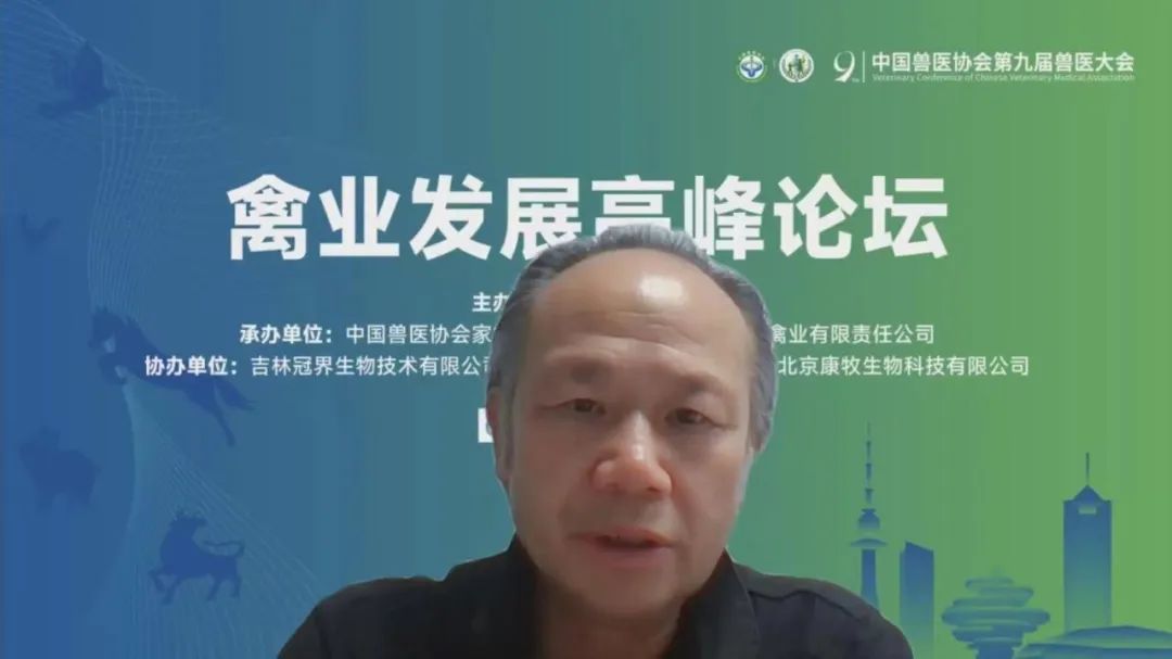 �ڲ�����Ϸ������(�й�)רҵ����,����Ϊ��