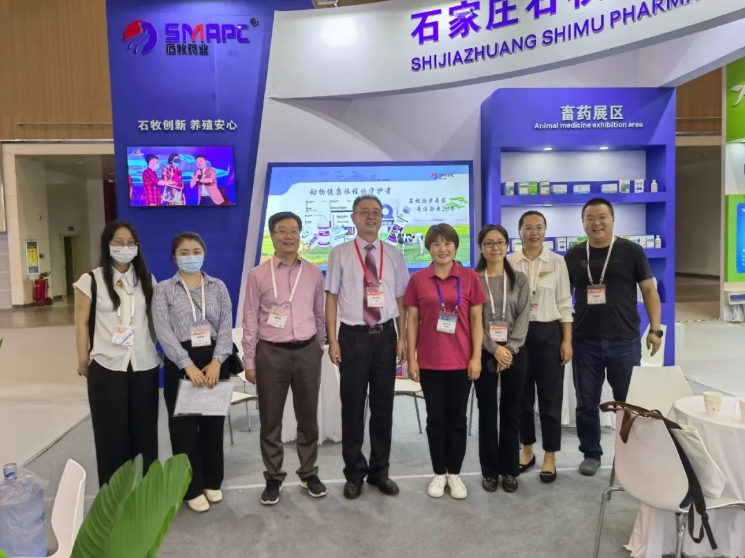 �ڲ�����Ϸ������(�й�)רҵ����,����Ϊ��