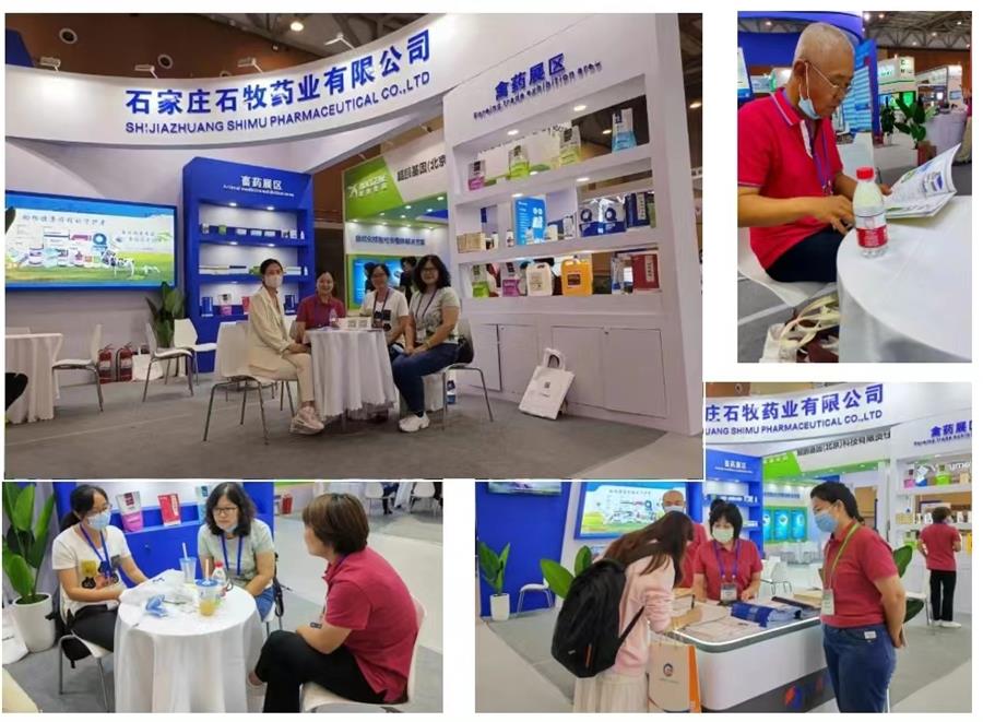 �ڲ�����Ϸ������(�й�)רҵ����,����Ϊ��