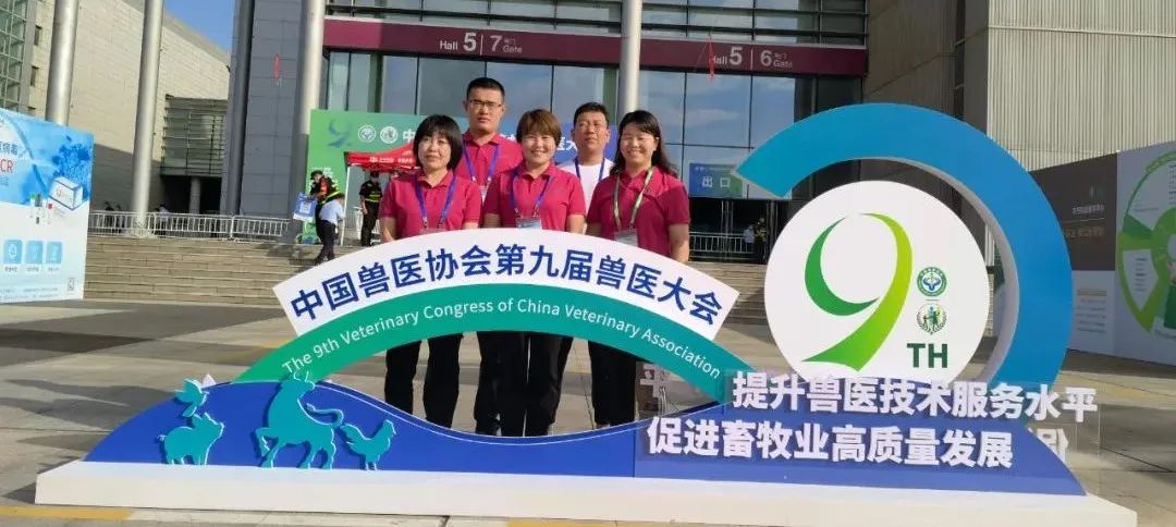 �ڲ�����Ϸ������(�й�)רҵ����,����Ϊ��