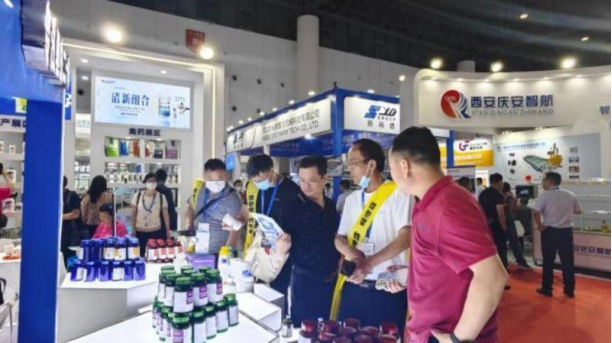 �ڲ�����Ϸ������(�й�)רҵ����,����Ϊ��