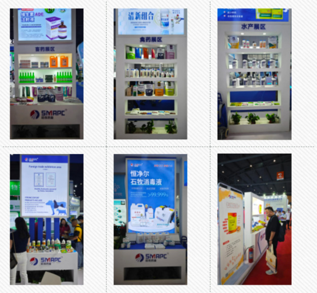 �ڲ�����Ϸ������(�й�)רҵ����,����Ϊ��