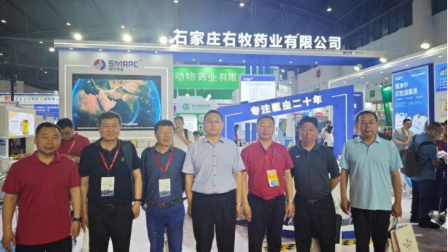 �ڲ�����Ϸ������(�й�)רҵ����,����Ϊ��