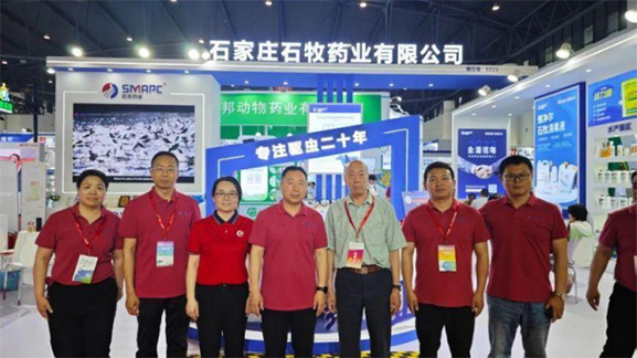 �ڲ�����Ϸ������(�й�)רҵ����,����Ϊ��