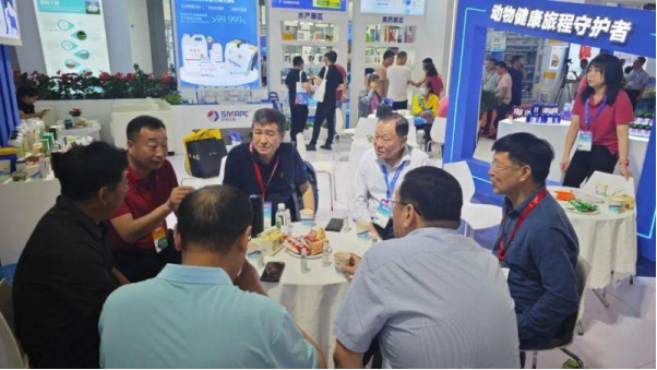 �ڲ�����Ϸ������(�й�)רҵ����,����Ϊ��