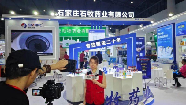 �ڲ�����Ϸ������(�й�)רҵ����,����Ϊ��