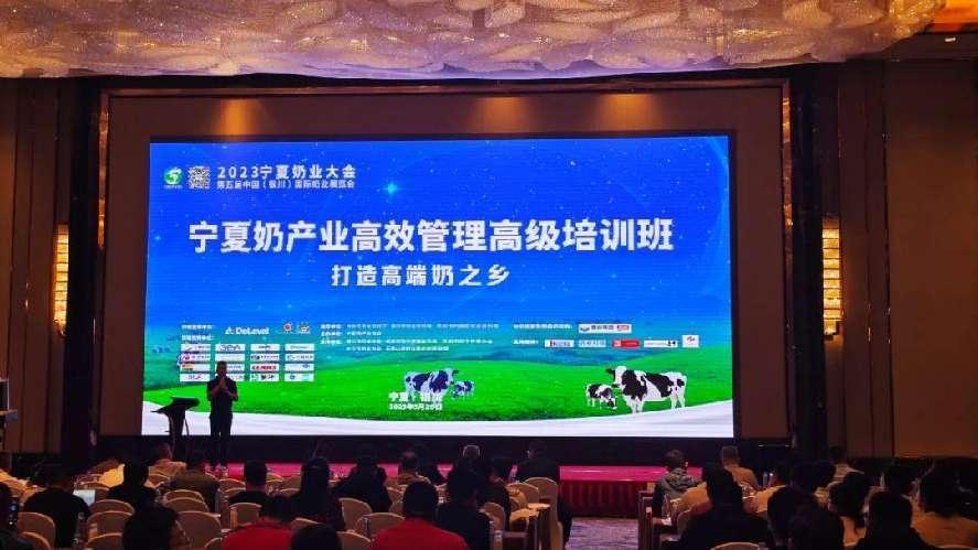 �ڲ�����Ϸ������(�й�)רҵ����,����Ϊ��