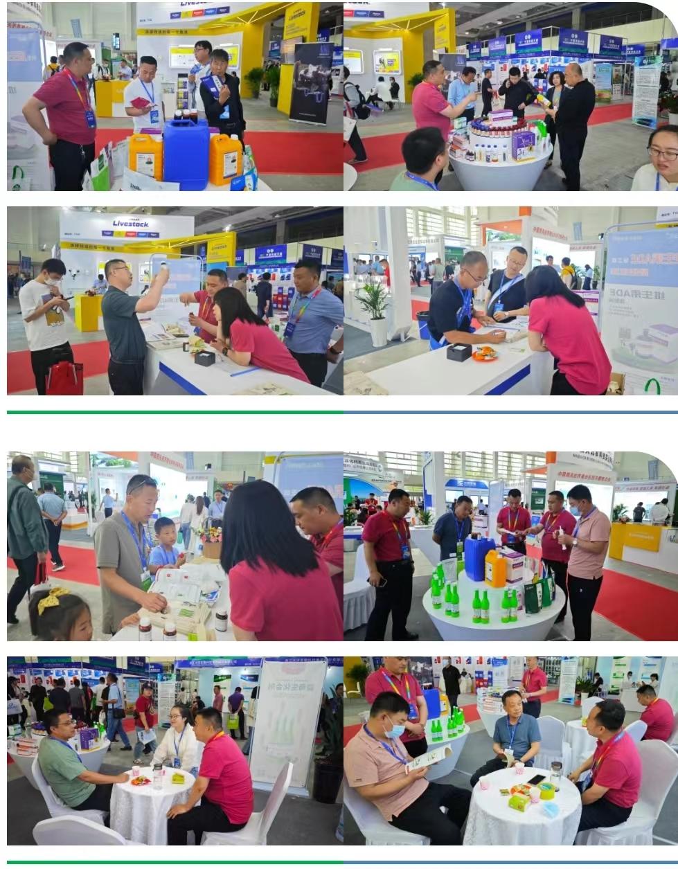 �ڲ�����Ϸ������(�й�)רҵ����,����Ϊ��