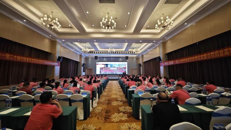 �ڲ�����Ϸ������(�й�)רҵ����,����Ϊ��