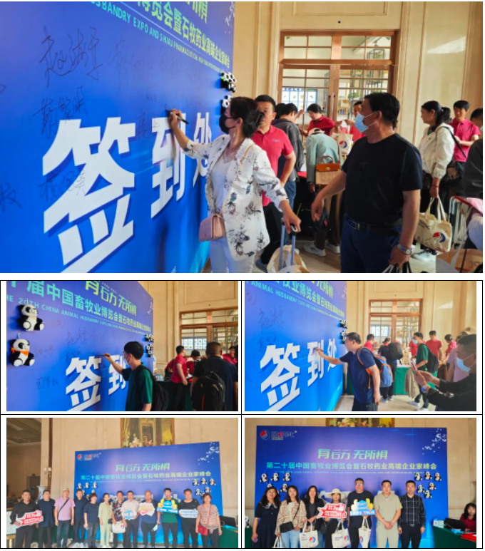 �ڲ�����Ϸ������(�й�)רҵ����,����Ϊ��