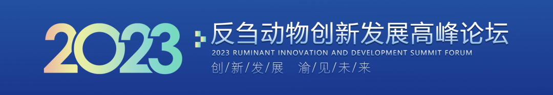 �ڲ�����Ϸ������(�й�)רҵ����,����Ϊ��