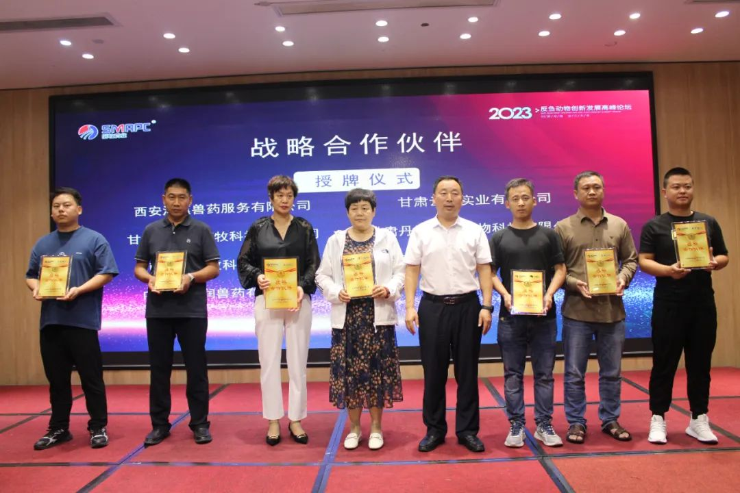 �ڲ�����Ϸ������(�й�)רҵ����,����Ϊ��