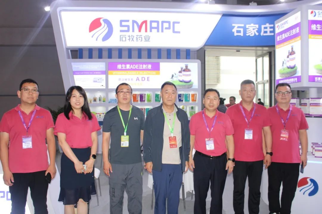 �ڲ�����Ϸ������(�й�)רҵ����,����Ϊ��