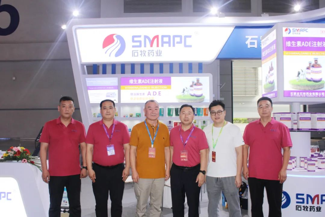 �ڲ�����Ϸ������(�й�)רҵ����,����Ϊ��