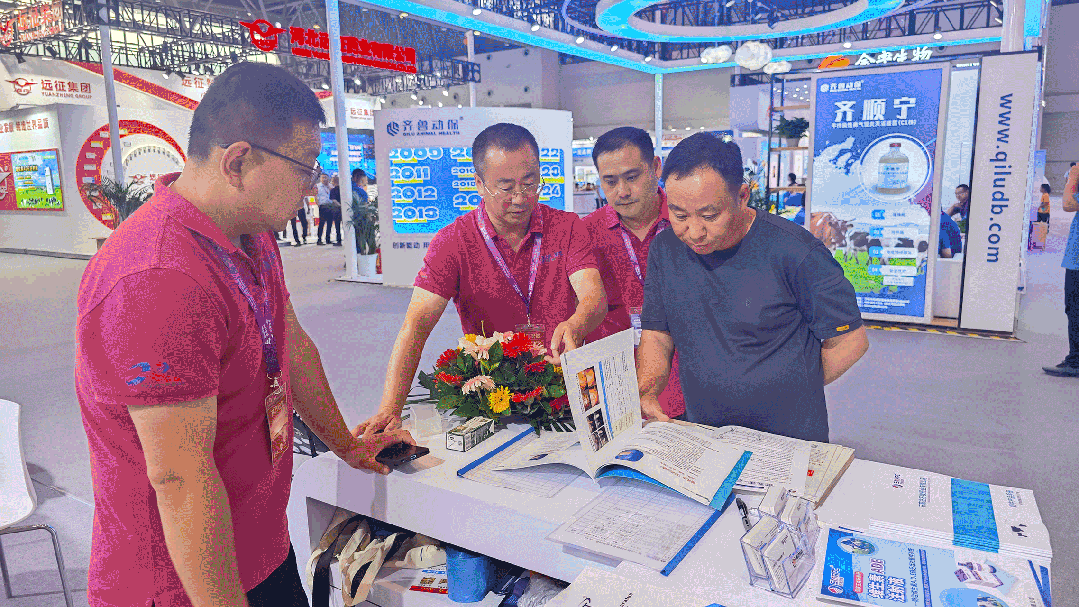 �ڲ�����Ϸ������(�й�)רҵ����,����Ϊ��