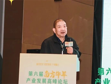 �ڲ�����Ϸ������(�й�)רҵ����,����Ϊ��