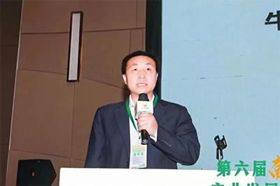 �ڲ�����Ϸ������(�й�)רҵ����,����Ϊ��