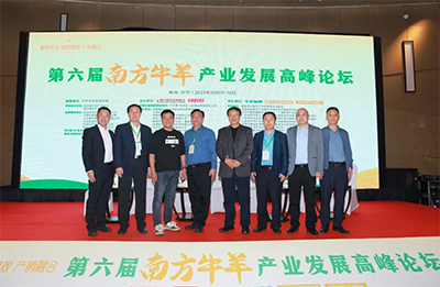 �ڲ�����Ϸ������(�й�)רҵ����,����Ϊ��