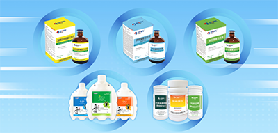 �ڲ�����Ϸ������(�й�)רҵ����,����Ϊ��