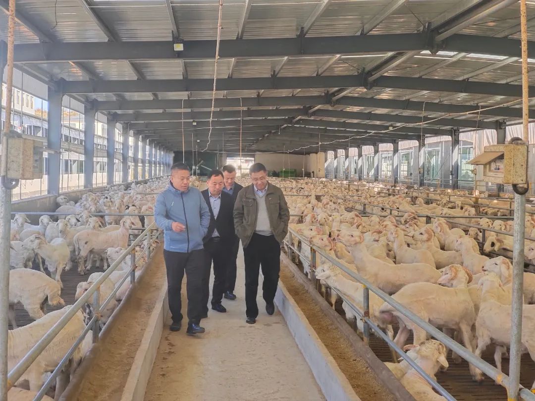 ÌÚ²©»áÓÎÏ·¹ÙÍø¡¤(Öйú)רҵ·þÎñ,³ÏÐÅΪ±¾