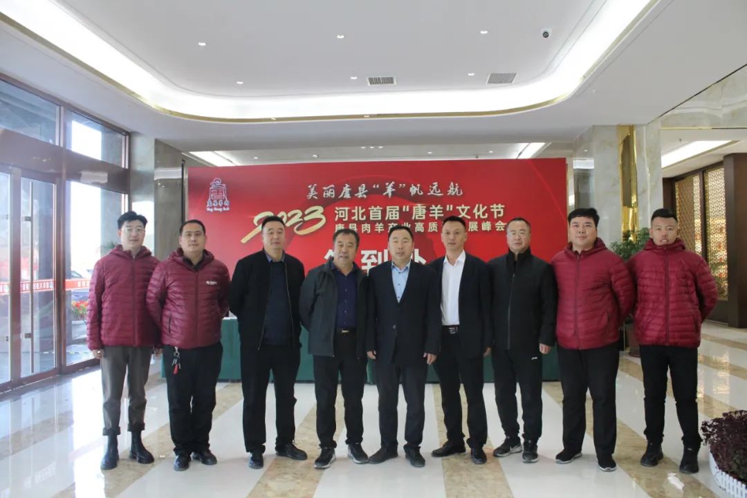 �ڲ�����Ϸ������(�й�)רҵ����,����Ϊ��