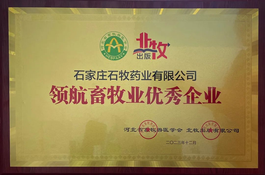 �ڲ�����Ϸ������(�й�)רҵ����,����Ϊ��