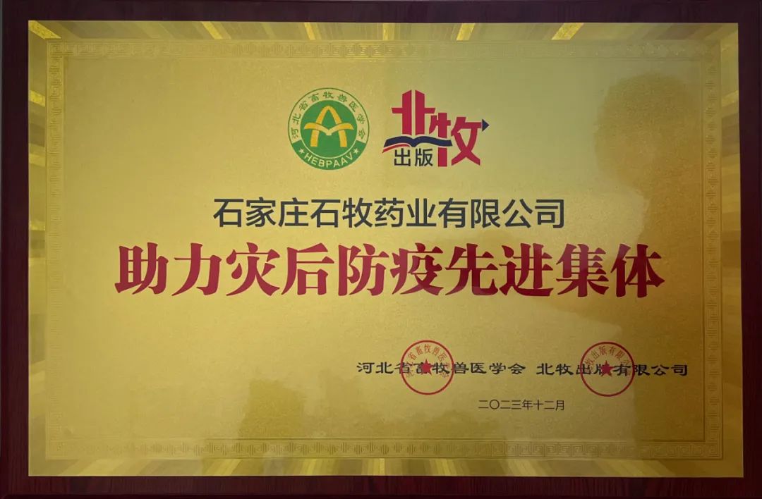 �ڲ�����Ϸ������(�й�)רҵ����,����Ϊ��